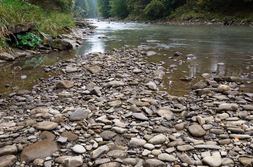 Riverbed Image
